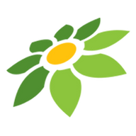 MOD APK BUS